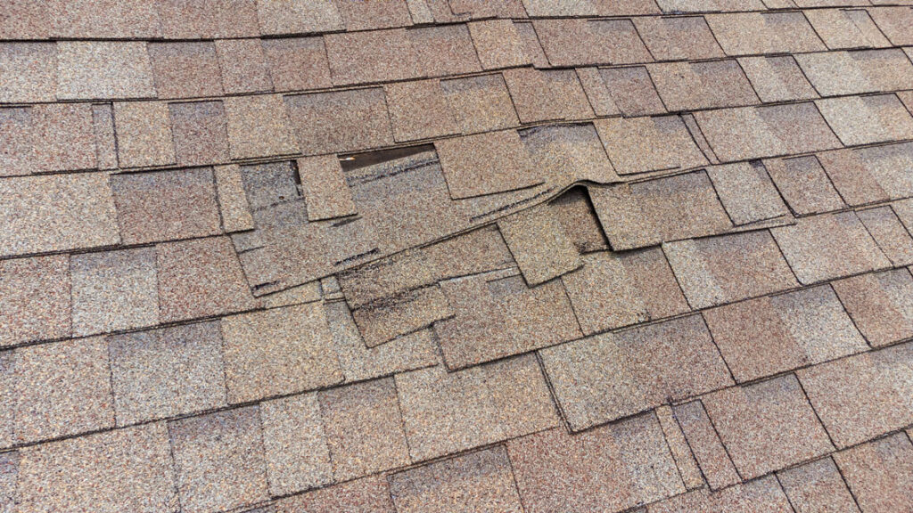 Curling And Buckling Shingles: What They Mean For Your Roof