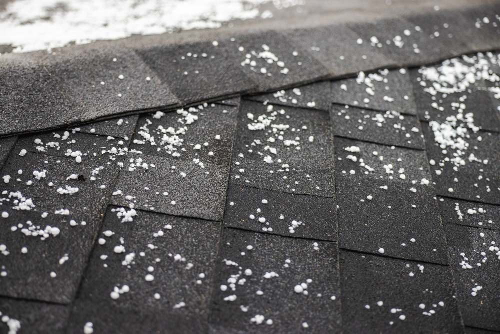 Hailstones scattered across dark asphalt roof shingles after a hailstorm